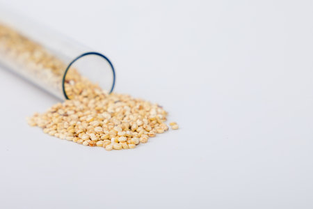 White quinoa seeds in a glass test tube, close-up, selective focus.の写真素材
