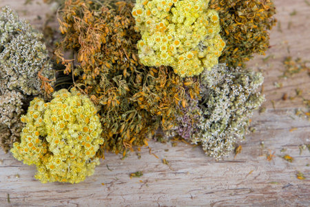 Dried bouquets of hypericum perforantum, immortal flowers and yarrow flowersの写真素材