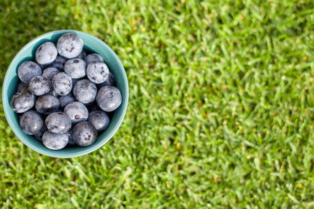 fresh organic blueberries on a green grass background, closeupの写真素材