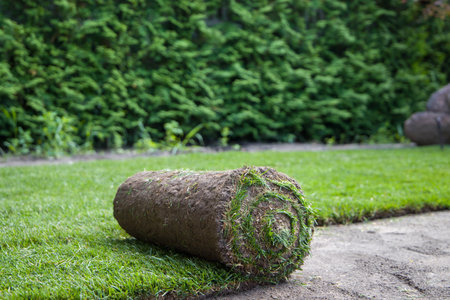 Lawn roll in the garden with green grass and trees in the backgroundの写真素材