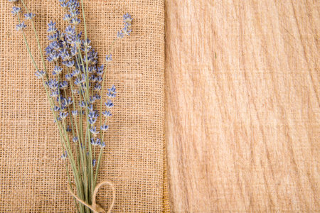 Dried lavender flowers on burlap background with copy space.の写真素材