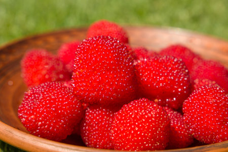 Rubus illecebrosus. Closeup of red balloon berry or strawberry raspberry in a clay plate.