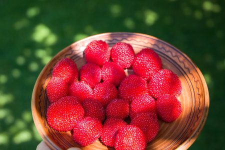 A woman holds a plate with fresh and ripe red balloon berries. Selective focus.