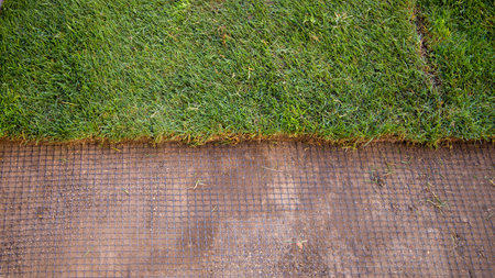 The mole repellent netting. Laying lawn and anti-mole netting.