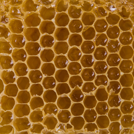 Honeycomb with honey as a background. Close-up.