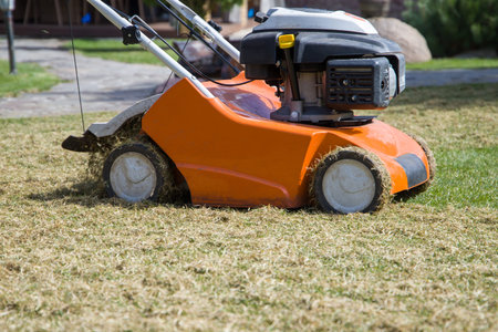 Scarifier is breaking up and removing unwanted grass or plants that are covering the surface of a...