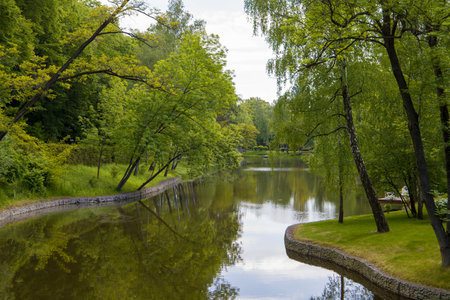 Landscape with the image of a river in the city park.の写真素材