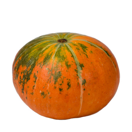 pumpkin isolated on white background. Clipping path included.の写真素材