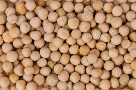 Pea seeds as a background. Top view.