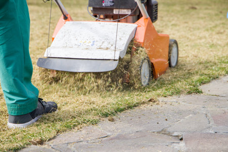 Scarifier. Removing dry lawn with a scarifier.
