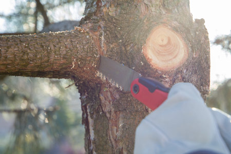 Person cutting a tree with a saw. Selective focus.