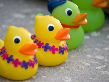 Rubber Ducksの写真素材