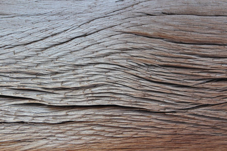 Old wood texture background. Close up of old wood texture background.