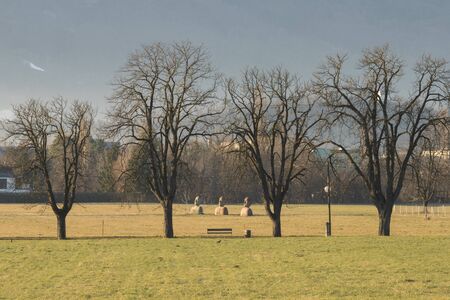 Angel statues in Maribor Sloveniaの写真素材