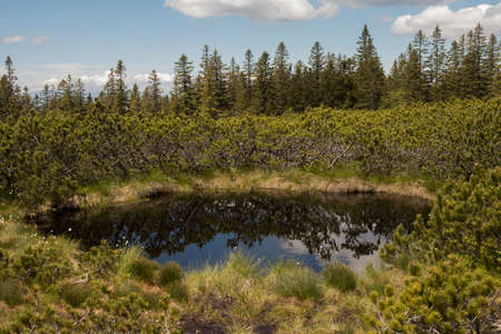 One of the small lakes in natural park LovrenÅ¡ka jezera near Rogla in beautiful Pohorje in Slovenia. Blue water with cloudy sky reflection. LovrenÅ¡ka lakes present one of the most popuの写真素材