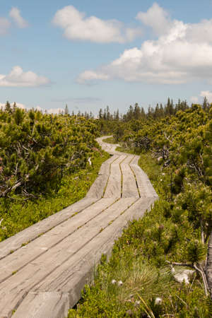 Simple wooden path in natural park LovrenÅ¡ka jezera near Rogla in beautiful Pohorje in Slovenia. LovrenÅ¡ka lakes present one of the most popular tourist attractions and summer relaxation points.の写真素材