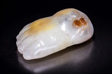 Made of jade collectables - autographの写真素材