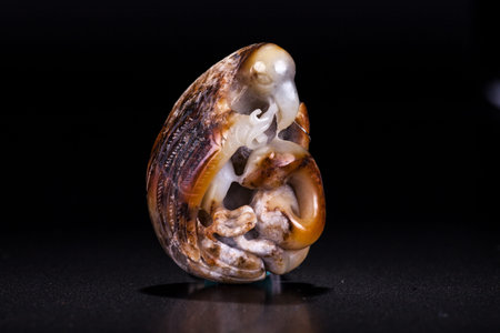Made of jade collectables - autograph