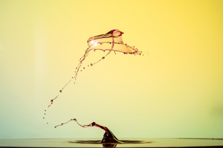 water drop collision on a wet backgroundの写真素材