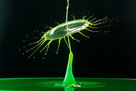 water drop collision on a wet backgroundの写真素材