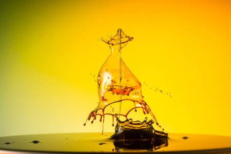 water drop collision on a wet backgroundの写真素材