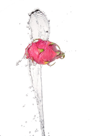 Pitaya under water with a trail of transparent bubbles.の写真素材