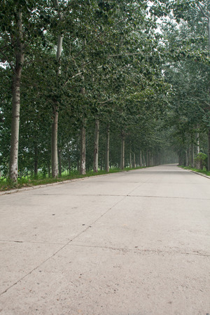 The rugged mountain road is shrouded in haze in Beijing, Chinaの写真素材
