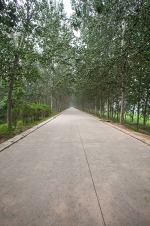 The rugged mountain road is shrouded in haze in Beijing, Chinaの写真素材