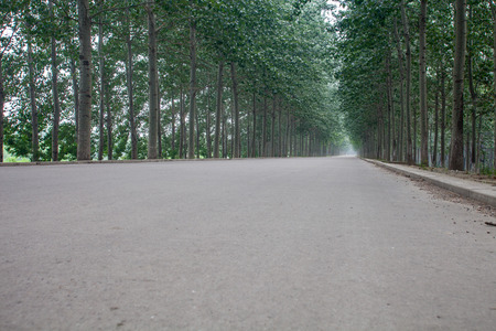 The rugged mountain road is shrouded in haze in Beijing, Chinaの写真素材