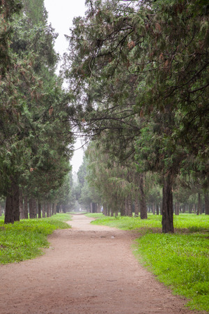 The rugged mountain road is shrouded in haze in Beijing, Chinaの写真素材