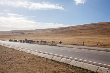 The rugged mountain road is shrouded in haze in Beijing, Chinaの写真素材