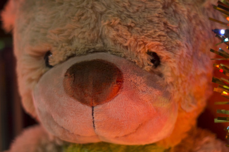 bear with christmas lights background.の写真素材