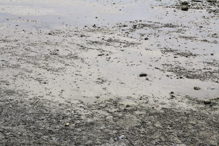Sand on the beach as background.