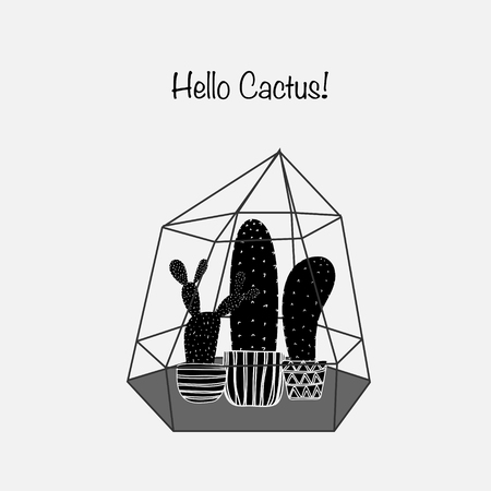 Cactuses In Glass Terrariums.のイラスト素材
