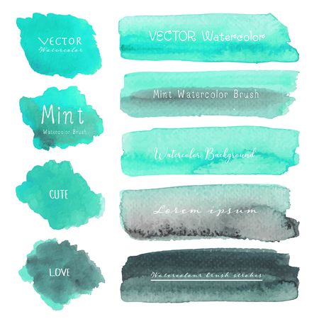 Set of mint watercolor on white background, Brush stroke watercolor, Vector illustration.のイラスト素材