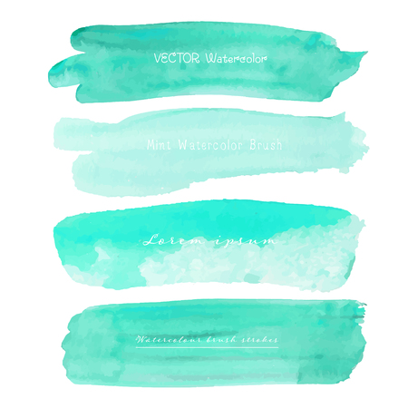 Set of mint watercolor on white background, Brush stroke watercolor, Vector illustration.のイラスト素材