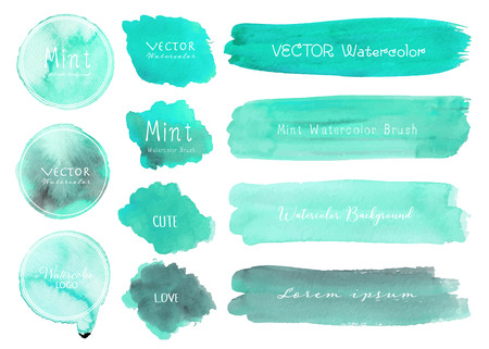 Set of mint watercolor on white background, Brush stroke watercolor, Vector illustration.のイラスト素材