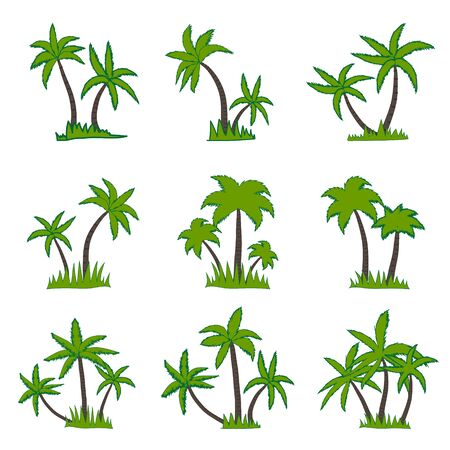 Set of coconut palm tree isolated on white background. Vector illustration.のイラスト素材