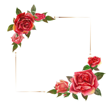 Rose watercolor frame. Floral wreath vector illustration.のイラスト素材