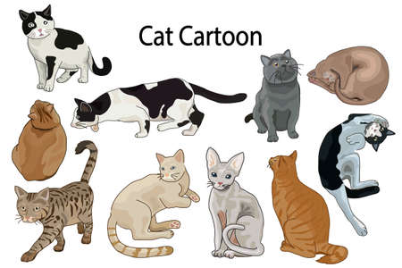 Cute cat cartoon set. Vector illustration for design.のイラスト素材