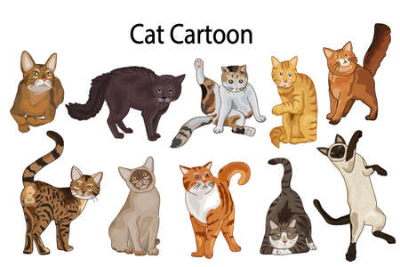 Cute cat cartoon set. Vector illustration for design.のイラスト素材
