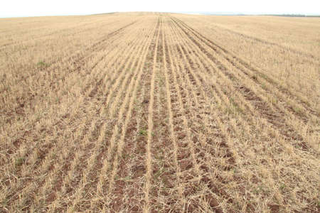 Beveled fieldの写真素材