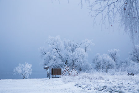 Winter landscape with lake, trees covered snow and fog. Winterly morning of a new day. Lake shore in winter.の写真素材