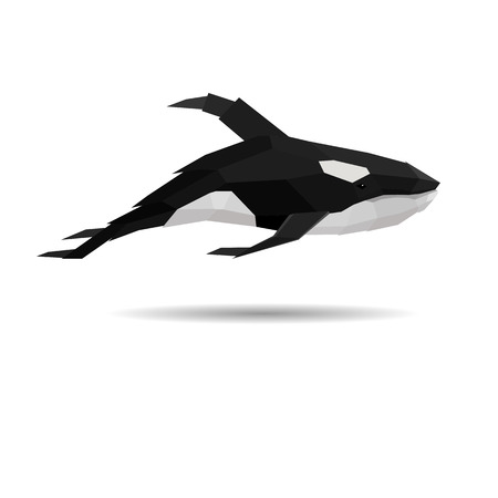 Cool vector image with orca dolphin in low poly style isolated on white.のイラスト素材