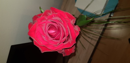 Big Red Roseの写真素材