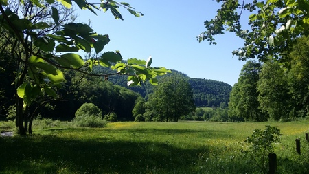 Green Meadows Hiking Trailの写真素材