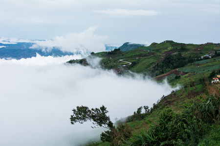 A lot of Mist around hillsの写真素材