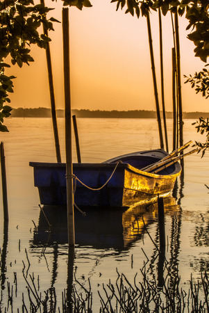 Fishing boats moored in the mangroves , on sunset.の写真素材