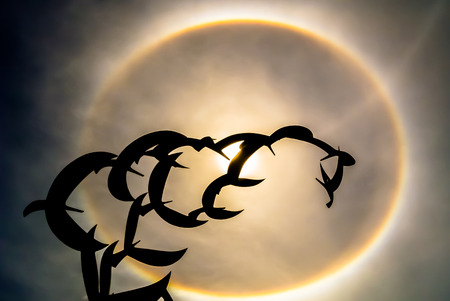 Marvelous  sun halo behind the bird statue.の写真素材