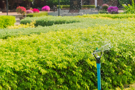Detail of a working lawn sprinkler head watering the grass.の写真素材